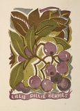 Artist: OGILVIE, Helen | Title: Greeting card: Christmas Lillie pillie berries | Technique: linocut, printed in colour, from multiple blocks