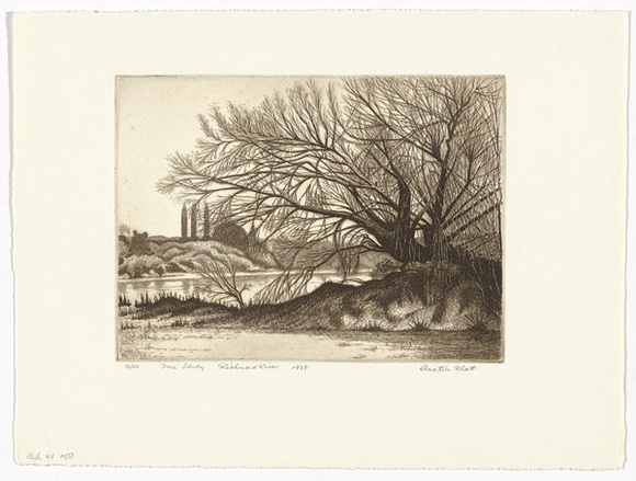 Artist: b'PLATT, Austin' | Title: b'Tree study, Richmond river' | Date: 1978 | Technique: b'etching, printed in black ink, from one plate'