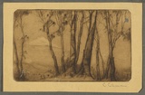 Artist: Coleman, Constance. | Title: (Cottage amidst trees). | Date: (1938) | Technique: aquatint and etching, printed in brown ink with plate-tone with wiped highlights, from one plate