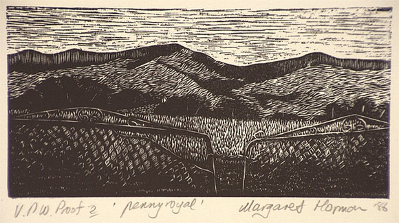 Artist: b'Hormann, Margaret.' | Title: b'Penny royal' | Date: 1986 | Technique: b'wood engraving, printed in black ink, from one block'