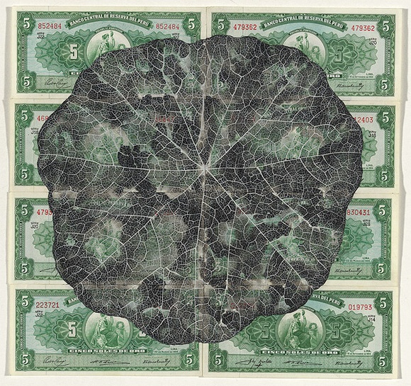 Artist: b'HALL, Fiona' | Title: b'Tropaeolum  majus - Nasturtium (Peruvian currency)' | Date: 2000 - 2002 | Technique: b'gouache' | Copyright: b'\xc2\xa9 Fiona Hall'