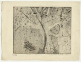 Artist: Cilento, Margaret. | Title: Tree in spring. | Date: 1949 | Technique: etching and aquatint, printed in black ink with plate-tone, from one  plate