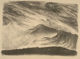 Artist: b'Trenfield, Wells.' | Title: b'Melaleuca landscape IX' | Date: 1986 | Technique: b'lithograph, printed in black ink, from one stone'