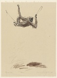 Artist: b'MACQUEEN, Mary' | Title: b'The gibbon' | Date: 1968 | Technique: b'lithograph, printed in colour, from  three plates in black, brown and grey i ink' | Copyright: b'Courtesy Paulette Calhoun, for the estate of Mary Macqueen'