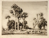 Artist: b'LINDSAY, Lionel' | Title: b'Lengthening shadows' | Date: 1944 | Technique: b'drypoint, printed in brown ink with plate-tone and wiped hightlights, from one plate' | Copyright: b'Courtesy of the National Library of Australia'