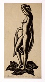 Artist: b'Wood, Rex.' | Title: b'The bather' | Date: c.1934 | Technique: b'linocut, printed in brown ink, from one block'