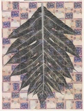 Artist: HALL, Fiona | Title: Artocarpus incisus - Breadfruit (Malaysian currency) | Date: 2000 - 2002 | Technique: gouache | Copyright: © Fiona Hall