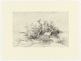 Artist: Mortensen, Kevin. | Title: Birdman island | Date: 2005 | Technique: etching, printed in black ink, from one copper plate | Copyright: © Kevin Mortensen