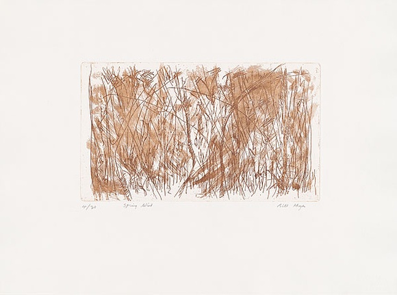 Artist: b'MEYER, Bill' | Title: b'Spring wind' | Date: 1988 | Technique: b'etching, printed in brown ink with plate-tone, from one zinc plate' | Copyright: b'\xc2\xa9 Bill Meyer'