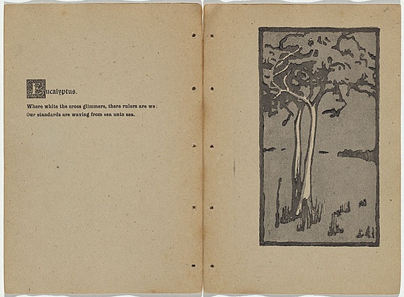 Artist: b'Rede, Geraldine.' | Title: b'Eucalyptus.' | Date: 1909 | Technique: b'woodcut, printed in colour in the Japanese manner, from two blocks; with letter-press'