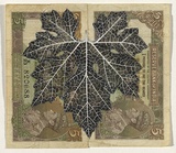 Artist: HALL, Fiona | Title: Momordica charantia - Bitter melon (Indian currency) | Date: 2000 - 2002 | Technique: gouache | Copyright: © Fiona Hall