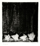 Artist: b'SHEARER, Mitzi' | Title: b'Variation on a theme' | Date: 1978 | Technique: b'etching, printed in black ink, from one  plate'