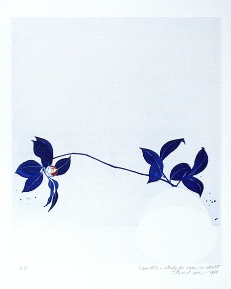 Artist: b'Rose, David.' | Title: b'Camellia - study for vase in cobalt' | Date: 1980 | Technique: b'aquatint, printed in black ink, from one plate; watercolour additions'