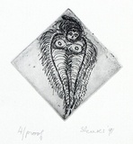 Artist: SHEARER, Mitzi | Title: not titled | Date: 1991 | Technique: etching, printed in black ink with plate-tone