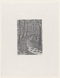 Artist: Groblicka, Lidia. | Title: Forest | Date: 1982 | Technique: woodcut, printed in black ink, from one block