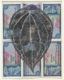 Artist: HALL, Fiona | Title: Piper betel- Betel vine (Malaysian currency) | Date: 2000 - 2002 | Technique: gouache | Copyright: © Fiona Hall