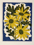 Artist: OGILVIE, Helen | Title: Greeting card: Daisy. (Print designed as christmas card). | Date: c.1952 | Technique: linocut, printed in colour, from multiple blocks