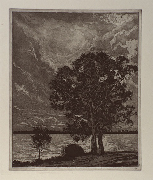 Artist: b'WADE, Stuart E' | Title: b'not titled [trees by water]' | Date: 1989 - 2002 | Technique: b'etching and aquatint, printed in black ink, from one plate'