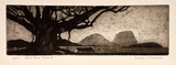 Artist: McDonald, Sheila. | Title: Lord Howe Island | Date: 1932 | Technique: aquatint printed in brown