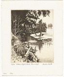 Artist: b'PLATT, Austin' | Title: b'Tallowadjah Creek, Glenreagh' | Date: c.1987 | Technique: b'etching, printed in black ink, from one plate'