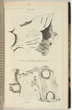 Title: not titled [two bone fragments]. | Date: 1846 | Technique: lithograph, printed in black ink, from one stone