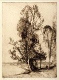 Artist: LONG, Sydney | Title: Brisbane water | Date: 1925 | Technique: line-etching, printed in brown ink, from one copper plate | Copyright: Reproduced with the kind permission of the Ophthalmic Research Institute of Australia