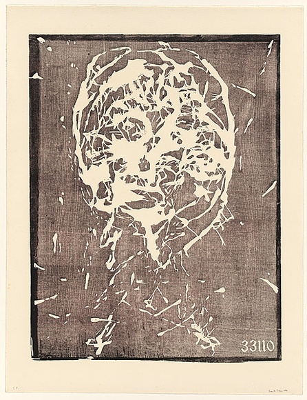 Artist: b'Tillers, Imants.' | Title: b'Flight at 33110' | Date: 1994 | Technique: b'woodcut, printed in brown ink, from one block' | Copyright: b'Courtesy of the artist'