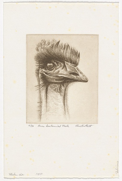 Artist: b'PLATT, Austin' | Title: b'Emu, Centennial Park' | Date: 1980 | Technique: b'etching, printed in black ink, from one plate'