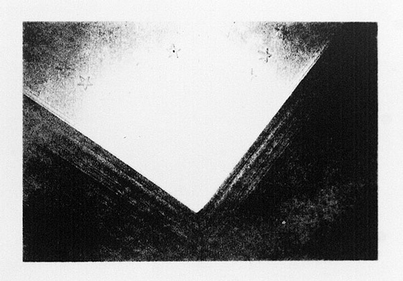 Artist: b'Juberlin, Narelle.' | Title: b'Old love' | Date: 1991 | Technique: b'lithograph, printed in black ink, from one stone [or plate]'