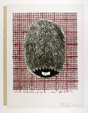 Artist: b'Moore, Mary.' | Title: b'Close encounter of the ...kind. Busby' | Date: 1980, April | Technique: b'mezzotint, drypoint and engraving, printed in black ink with green ballpoint pen; lithograph, printed in colour, four plates' | Copyright: b'\xc2\xa9 Mary Moore'