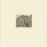 Artist: b'Robinson, William.' | Title: b'Springbrook 8' | Date: 1999 | Technique: b'etching, printed in black ink, from one plate'