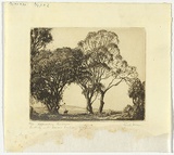 Artist: Morgan, Squire. | Title: Approaching Canberra | Date: c.1927 | Technique: etching