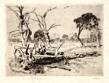 Artist: LINDSAY, Lionel | Title: Old timber | Date: 1913 | Technique: etching, printed in greenish-black ink, from one plate | Copyright: Courtesy of the National Library of Australia