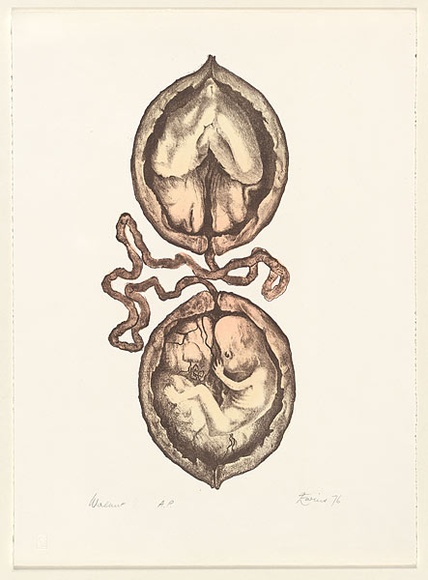 Artist: b'EWINS, Rod' | Title: b'Walnut.' | Date: 1976 | Technique: b'lithograph, printed in black ink, from one stone'