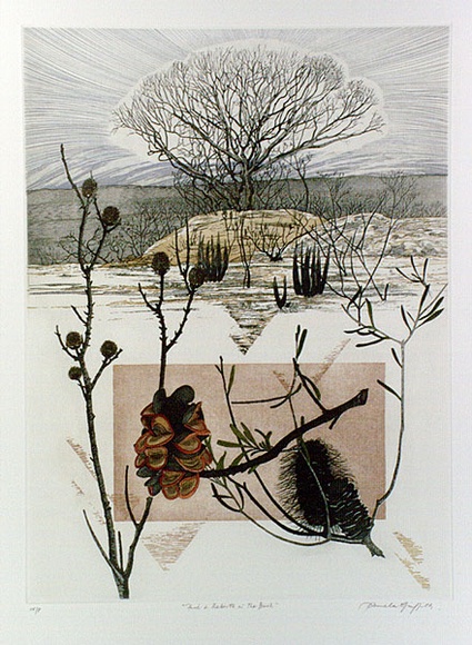 Artist: b'GRIFFITH, Pamela' | Title: b'Fire and rebirth in the bush' | Date: 1989 | Technique: b'hardground-etching and aquatint, printed in colour, from two copper plates; additional hand-tinting' | Copyright: b'\xc2\xa9 Pamela Griffith'