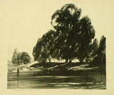 Artist: b'GOODCHILD, John' | Title: b'Riverside trees' | Date: 1926 | Technique: b'lithograph, printed in black ink, from one stone'