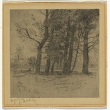 Artist: b'MacNally, M.J.' | Title: b'Pines' | Date: 1907 | Technique: b'etching, printed in black ink with plate-tone, from one plate'