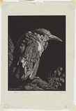 Artist: b'LINDSAY, Lionel' | Title: b'The clipped wing' | Date: 1931 | Technique: b'wood-engraving, printed in black ink, from one block' | Copyright: b'Courtesy of the National Library of Australia'