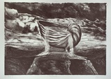 Artist: b'Connors, Anne.' | Title: b'Overflowing' | Date: 1986, January | Technique: b'lithograph, printed in black ink, from one stone'