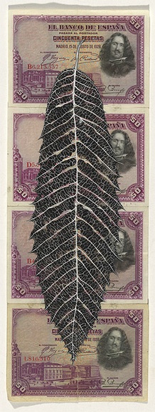 Artist: b'HALL, Fiona' | Title: b'Castanea sativa - Sweet chestnut (Spanish currency)' | Date: 2000 - 2002 | Technique: b'gouache' | Copyright: b'\xc2\xa9 Fiona Hall'