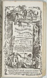 Artist: GILL, S.T. | Title: [advertisment for] Lithographic views and sketches by S.T.G. | Date: 1855 | Technique: lithograph, printed in black ink, from one stone