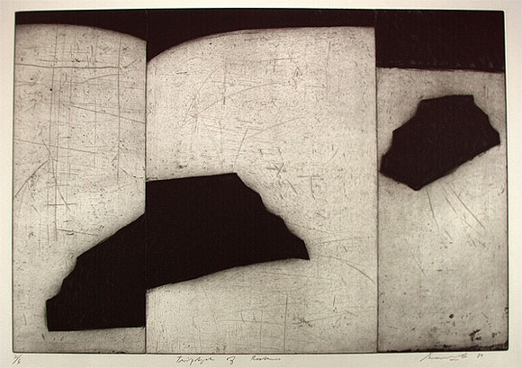 Artist: b'Lee, Graeme.' | Title: b'Triptych of rostrums' | Date: 1989 | Technique: b'etching, printed in black ink, from one plate'