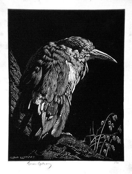 Artist: b'LINDSAY, Lionel' | Title: b'The clipped wing' | Date: 1931 | Technique: b'wood-engraving, printed in black ink, from one block' | Copyright: b'Courtesy of the National Library of Australia'