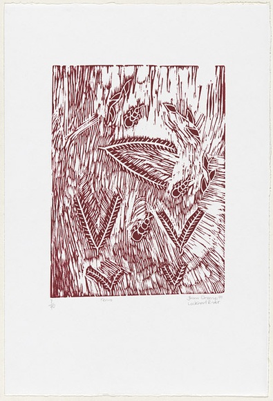 Artist: b'Omeenyo, Fiona.' | Title: b'Ferns' | Date: 1999 | Technique: b'linocut, printed in deep red ink, from one block'