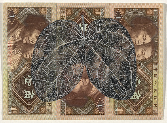 Artist: b'HALL, Fiona' | Title: b'Bauhinia glauca (Chinese currency)' | Date: 2000 - 2002 | Technique: b'gouache' | Copyright: b'\xc2\xa9 Fiona Hall'