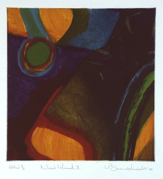 Artist: b'Brunnschweiler, Ulli.' | Title: b'New Island II' | Date: 2000, May | Technique: b'etching, printed in colour, from multiple plates'