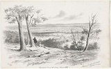 Artist: GILL, S.T. | Title: Creswick Creek from Shrine Hill | Date: 1855-56 | Technique: lithograph, printed in black ink, from one stone