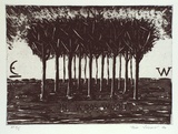 Artist: Jones, Tim. | Title: In Woo's wood | Date: 1994 | Technique: etching and aquatint, printed in black ink, from one plate