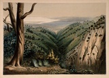 Artist: b'Angas, George French.' | Title: b'View from Mount Lofty, looking over the Plains of Adelaide.' | Date: 1846-47 | Technique: b'lithograph, printed in colour, from multiple stones; varnish highlights by brush'