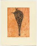 Artist: b'Watson, Judy.' | Title: b'Sand palm/resistance.' | Date: 2006 | Technique: b'etching, printed in colour, from three plates'